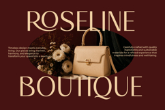 Bacher - Ligature Elegant Sans Font Product Image 2