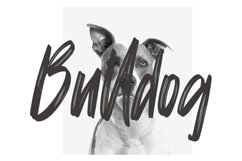 Mattolla - Handbrush Script Product Image 4