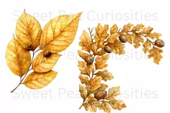 Fall, Autumn, Leaves, Ephemera, PNG, watercolor, Clipart Product Image 2