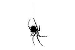 Spider Svg/Png/Jpg/Ai/Vector Spider/Black spider Svg Product Image 3