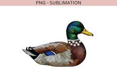Mallard Duck PNG, Embroidered Duck Clipart, Rustic Nature Product Image 2