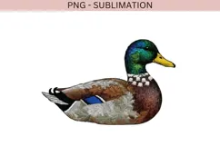 Mallard Duck PNG, Embroidered Duck Clipart, Rustic Nature Product Image 2