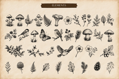 Woodland Ink Illustration Bundle Product Image 2