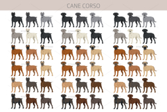 Cane Corso dog clip art Product Image 2