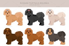 Russian Tsvetnaja Bolonka clipart Product Image 4