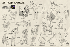 Farm animals Procreate Stamps Product Image 2