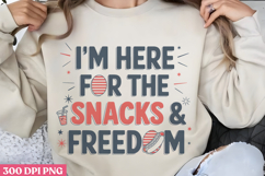 4th Of July Sublimation Bundle PNG Product Image 5