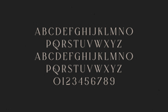 Grace Elegant Modern Serif Font Product Image 2