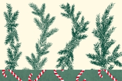 Christmas Pine Tree Border SVG, PNG Clipart Product Image 2