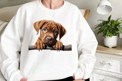 Breeds Of Peeking Dogs Collection Clipart Product Image 3