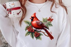 Christmas Cardinal Watercolor Clipart, Christmas Cardinal Product Image 2