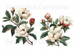 Flowers, Clipart, Ephemera, PNG, Junk journal Product Image 2