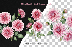 15 Bundle Watercolor Pink Dahlias Flower Soft Floral Decor Product Image 2