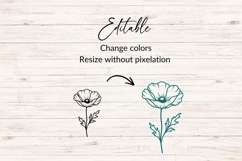 Hand Drawn Single Poppy Stem SVG Product Image 2