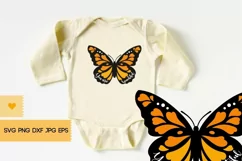 Butterfly SVG - Butterfly Clipart, You Are Beautiful PNG Product Image 5