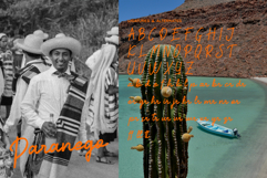 Reposida Brush Font Product Image 2