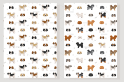 Shih Poo, Shih Tzu Poodle mix Product Image 6