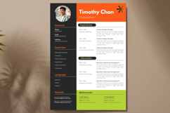08 Professional Resume CV - Canva Product Image 2