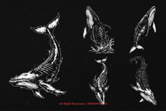 10 Bundle Dark Art Death Whale Skeleton Fish Predator Product Image 3
