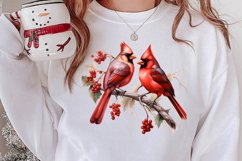 Christmas Cardinal Watercolor Clipart, Christmas Cardinal Product Image 2