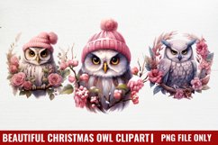 Christmas Owl Clipart, Christmas Clipart Product Image 1