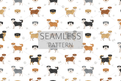 Goberian dog mix Product Image 6
