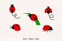 Ladybug SVG PNG DXF Bundle 10 Designs Product Image 2