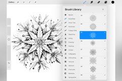 100 Procreate Snowflake Stamp Brushes Product Image 4