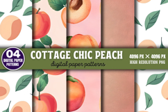 Cottage chic peach Digital Background Paper PNG Product Image 1