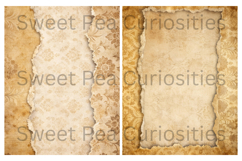 Sepia, Flowers, Grunge, Papers, Junk Journal Product Image 2