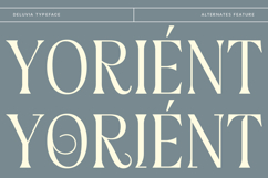 Deluvia - Elegant Serif Typeface Product Image 2