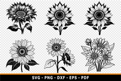 Sunflower SVG, Sun Flowers PNG, Flowers SVG, Product Image 2