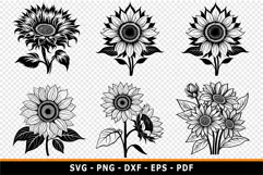 Sunflower SVG, Sun Flowers PNG, Flowers SVG, Product Image 2