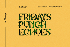 Saltstar Serif Font Product Image 2