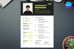27 Vibrant Designer CV - Canva Product Image 2