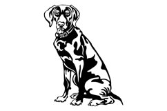 Weimaraner dog/Dog Svg/Png/Jpg/Ai/Vector purebred breed/Pet Product Image 3