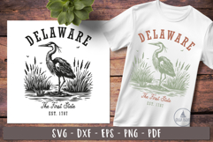 Vintage United states design bundle svg Product Image 5