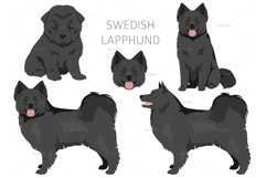 Swedish Lapphund clipart Product Image 2