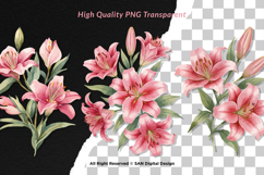 15 Bundle Watercolor Red Lily Flower Botanical Aesthetic Product Image 2
