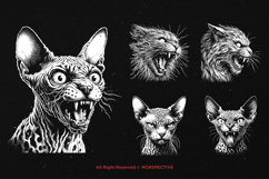 10 Bundle Dark Art Cats Gothic Horror Kitten Skeleton Skull Product Image 3
