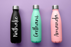 Ladybugs Product Image 2