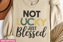 St Patricks Day Sublimation Bundle PNG Product Image 10