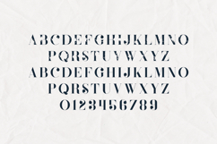 Defect Distressed Vintage Serif Font Product Image 3