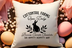 Open daily cottontail farms bunnies cauots chocolate 123 Hip Product Image 2