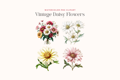 Watercolor Vintage Daisy Flowers Clipart Product Image 2