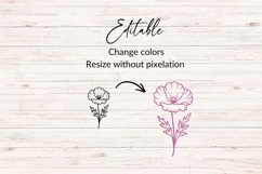 Hand Drawn Poppy Bouquet SVG Product Image 2