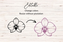 Orchid Blossom SVG Product Image 2