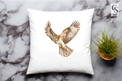 Flying Hawk Bird Illustration Clipart Sublimation PNG Product Image 2