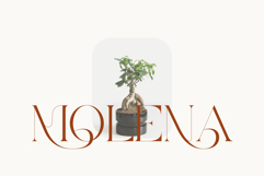 Mayor Product Image 2