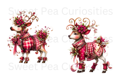 Christmas, Ephemera, Shabby Chic , PNG, Clipart Product Image 2
